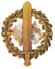 SA-Wehrabzeichen in Gold